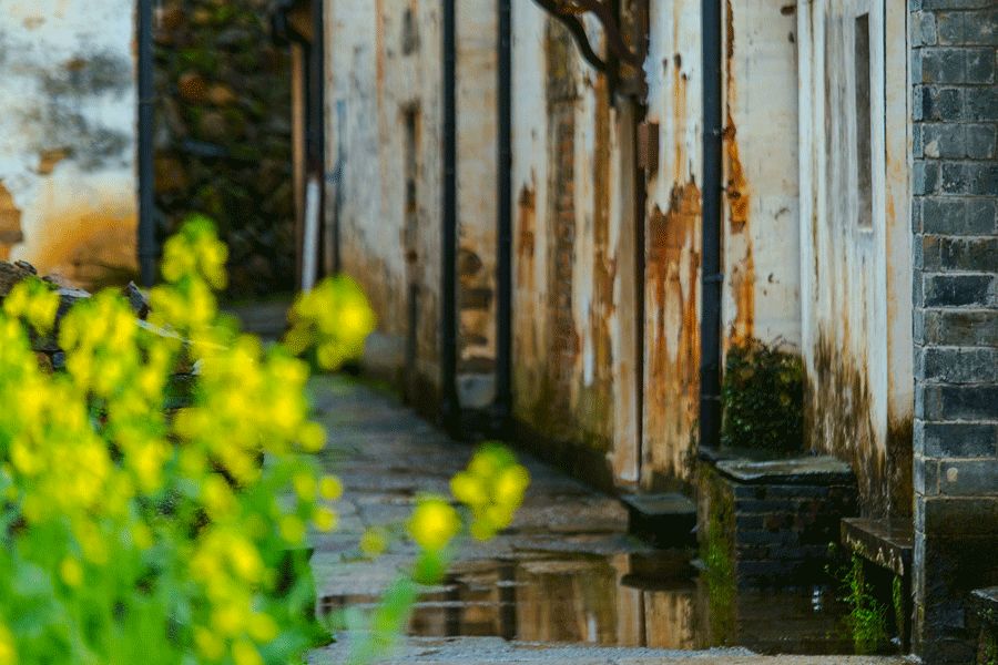 清明为什么要回乡扫墓？这是我听过最好的答案-《清明为什么要回乡扫墓,这是我听过最好的答案!》