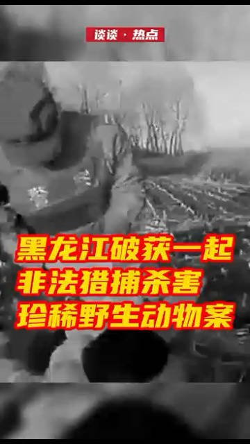 犯罪嫌疑人逃窜民警驾车追击一百余公里|民警|边境|派出所_新浪新闻