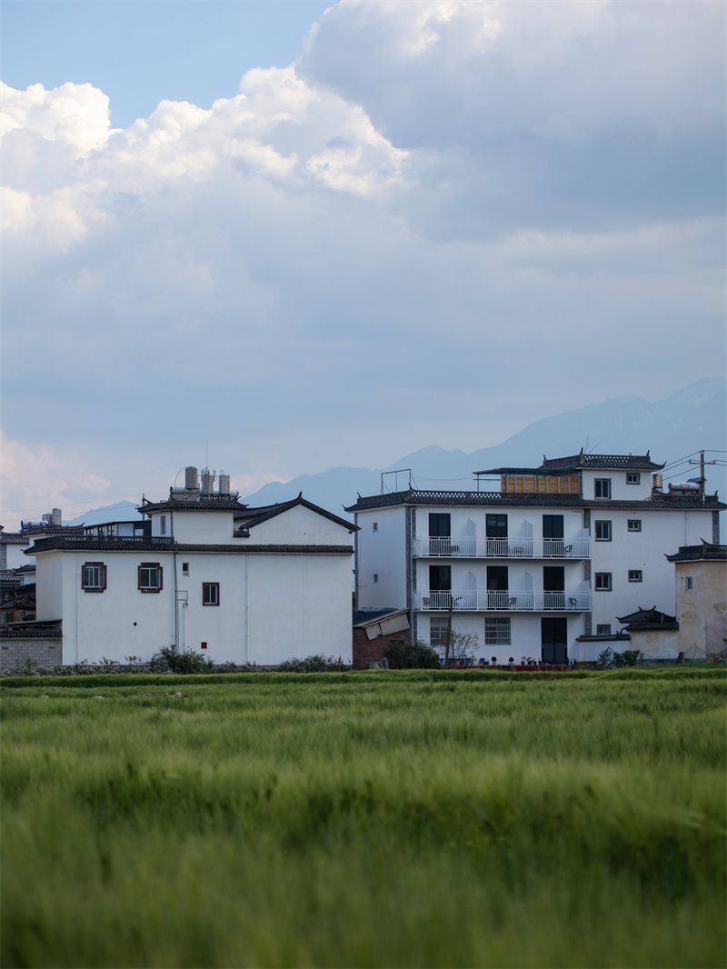 宁静祥和的云南大理喜洲古镇,周围被翠绿掩盖起来,民居与麦田交相辉映