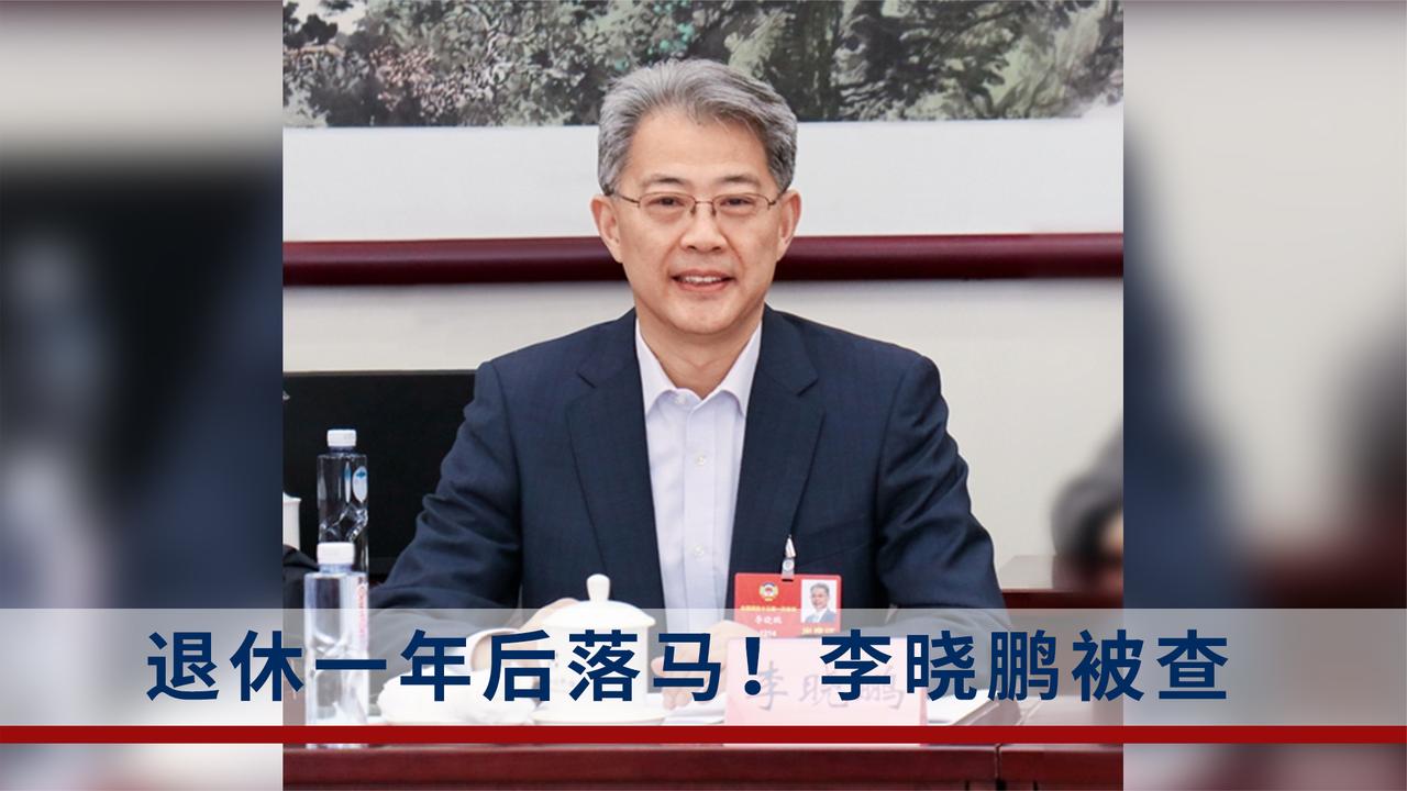 李晓鹏退休一年后落马,曾任中国光大集团股份公司董事长
