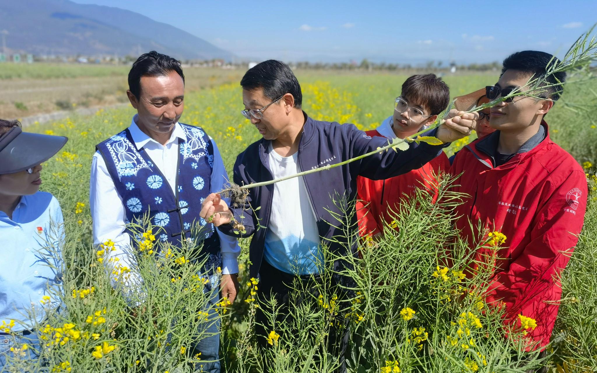 张福锁院士(中)在云南大理的田间和学生以及当地老乡交流.