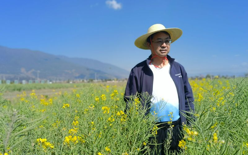 张福锁院士.新京报记者 周怀宗 摄