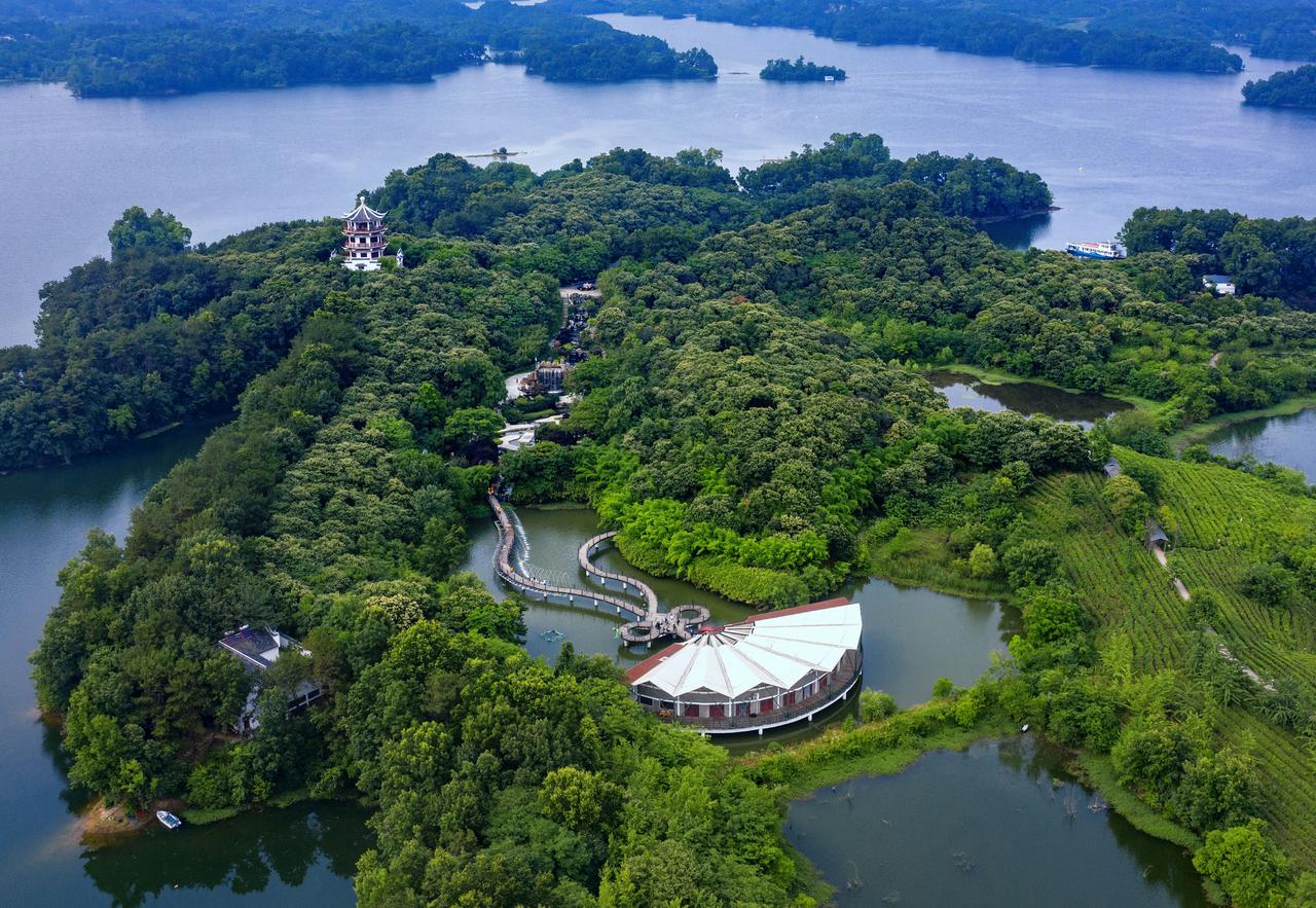 豫风楚韵是信阳|大别山|信阳|楚韵_新浪新闻