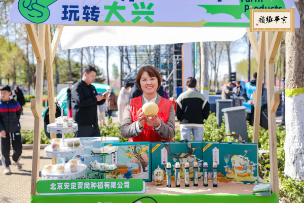 智能生成线路 体验独特京郊京韵 ——北京大兴庞各庄梨花节盛大开幕