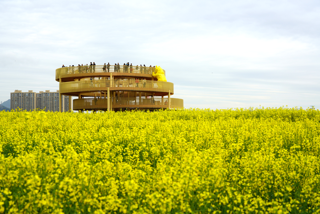 乐清市现代都市田园综合体.蔡宽元 摄