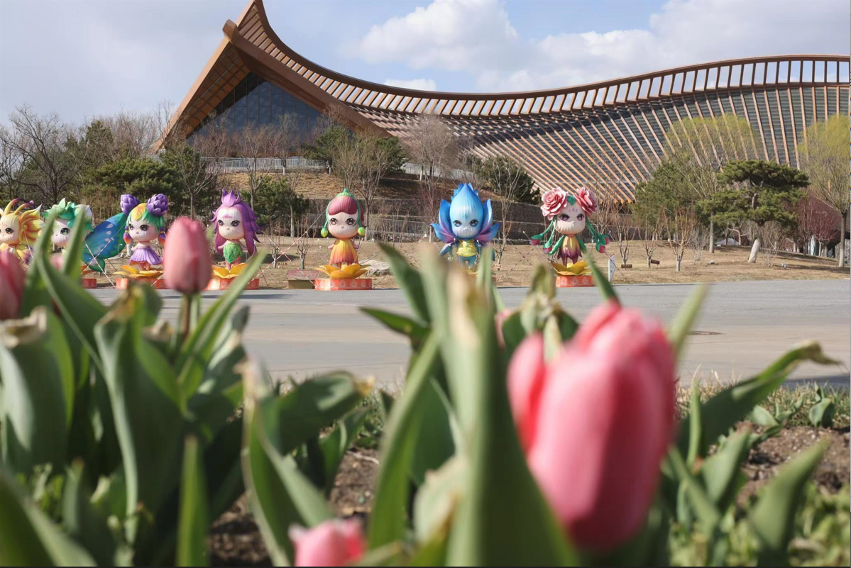北京世园公园,郁金香花海和各式花灯相映成趣.世园公园供图
