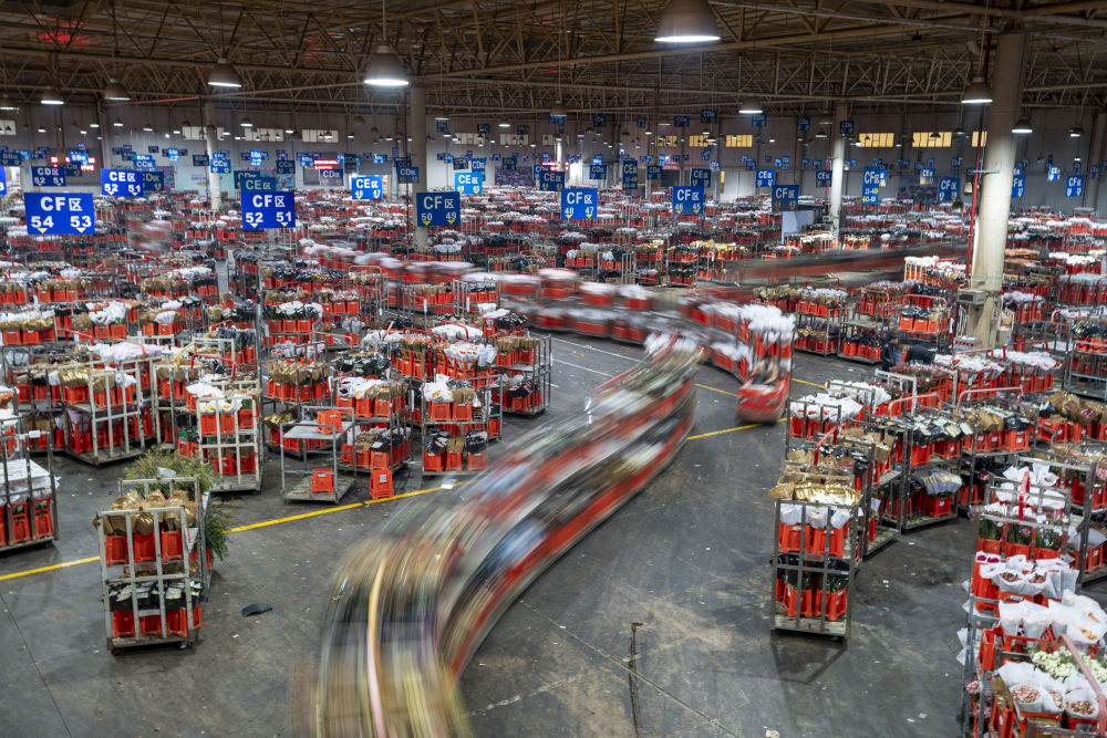 昆明国际花卉拍卖交易中心鲜花运输场景.新华社记者&nbsp;陈欣波 摄