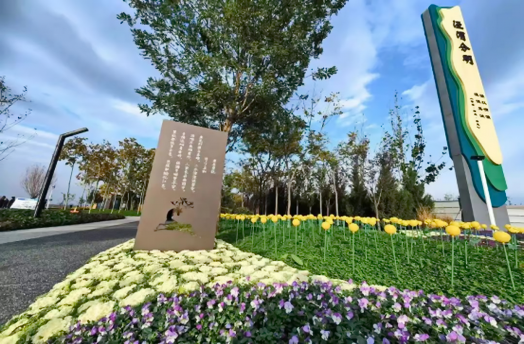 位于高陵区的泾渭分明观景台一角