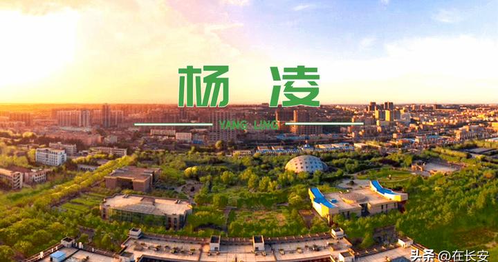 报道透露:杨凌哪有小姐?深入探访当地服务与社区互动实情