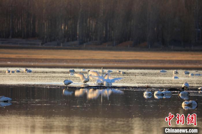 都市春潮小说推荐 类似都市春潮的小说有哪些