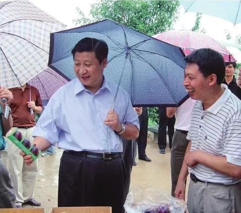 2003年8月，习近平在丽水市云和县考察重河湾省级林业特色基地。（图源：《习近平在浙江》）