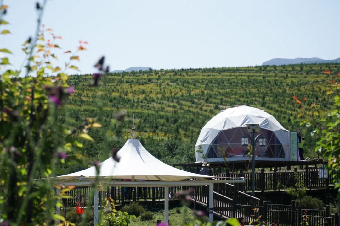 西宁市大通回族土族自治县逊让乡尕漏村旅游度假景区 张子琪 摄