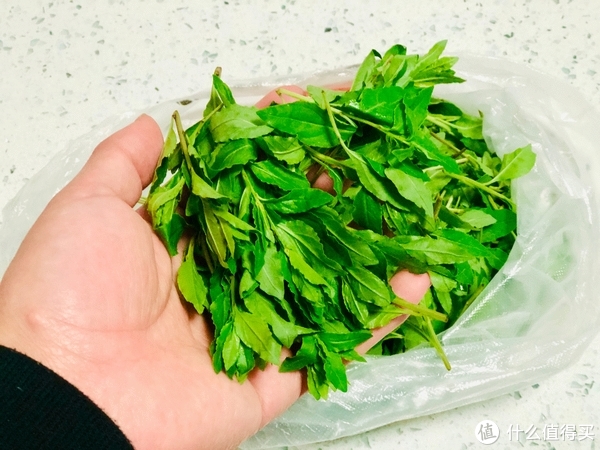 春天的枸杞叶这样做,实在是太美味了,营养又好吃,抓紧做起来