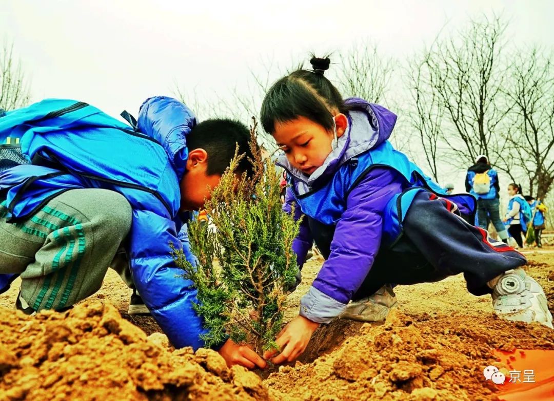 小孩植树照片图片