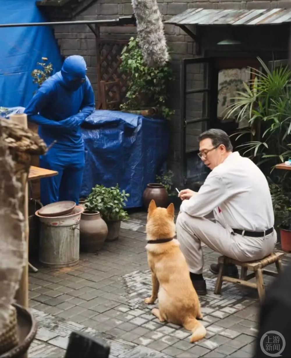 《忠犬八公》中18只“八筒”?动物导演:1只是我的,17只被领养|忠犬八公_新浪财经_新浪网