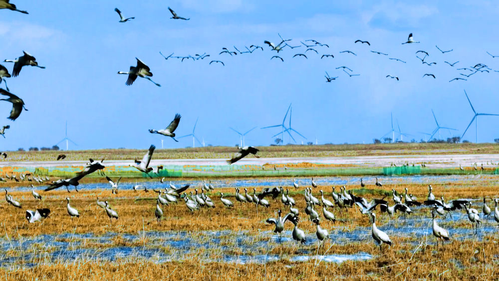 洮南微信400块一套服务