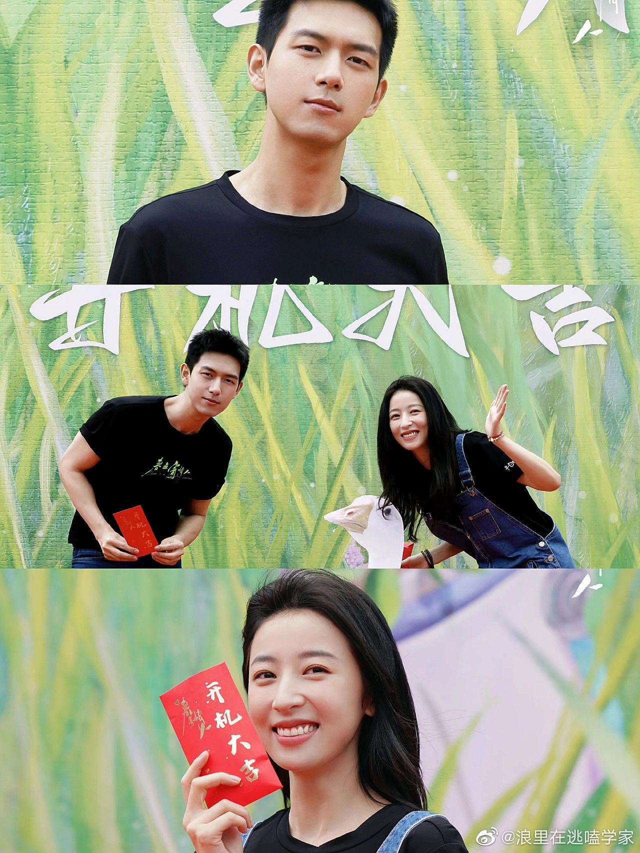 医疗|周雨彤|李现_新浪新闻