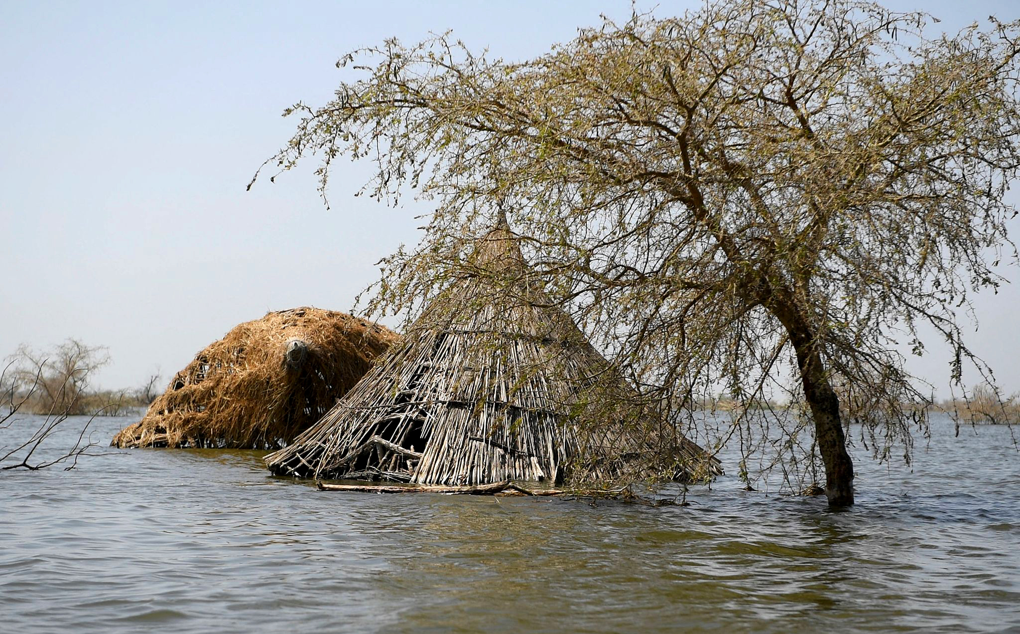 图记·南苏丹之困①|气候之灾:连续四年的洪水淹没过半国土|洪水_新浪
