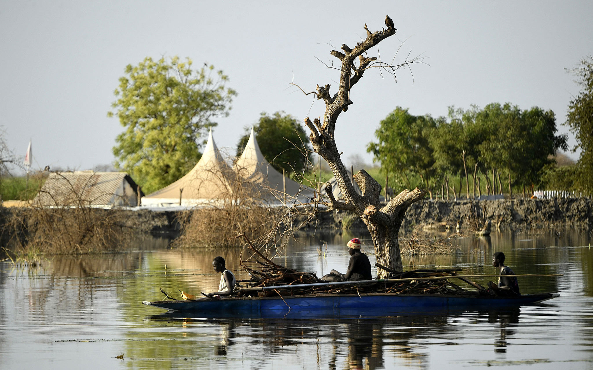 当地时间2023年2月6日,南苏丹本提乌,人们在洪水中用小船运输木柴.