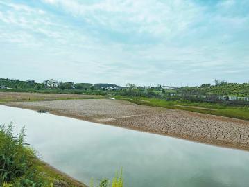 隆昌市圣灯镇隆龙稻虾养殖基地几乎见底的虾田.