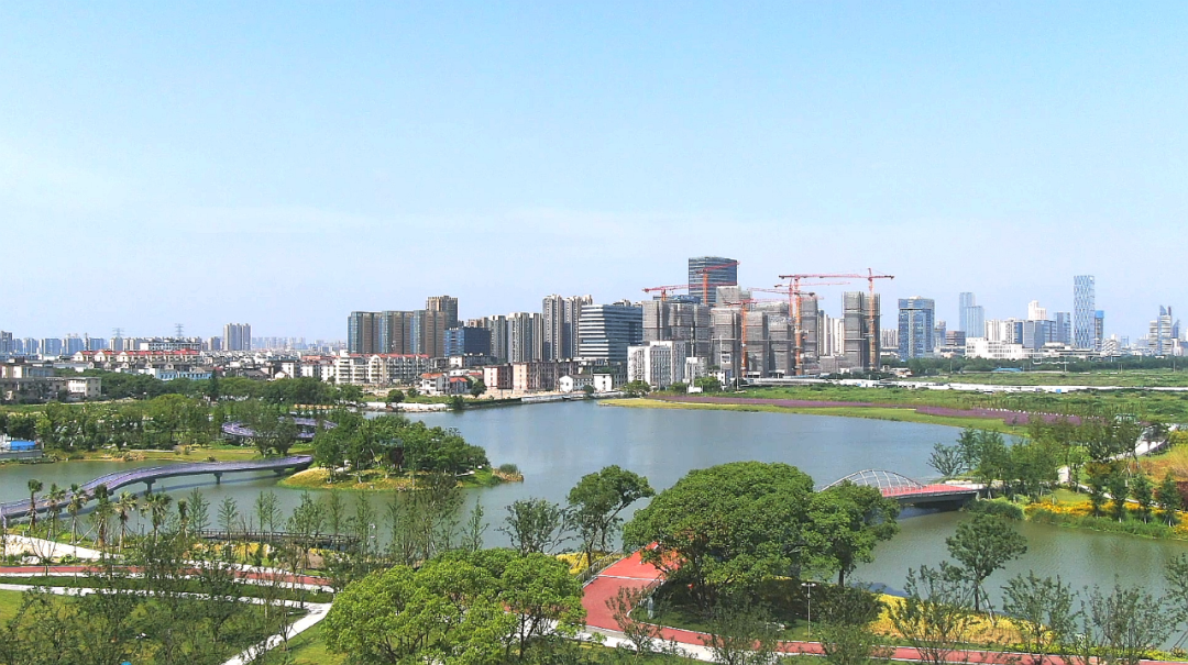 今年这么多高端盘,谁能笑傲江湖?|宁波市_新浪财经_新浪网