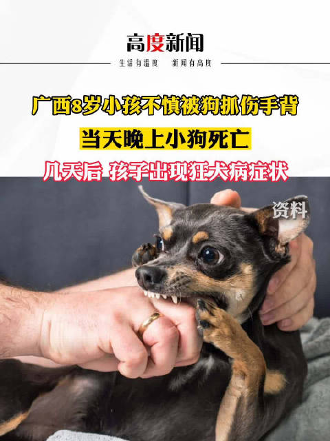 8岁男童被狗抓伤未及时处理,5天后狂犬病发作不幸去世|狗|狂犬病_新浪新闻