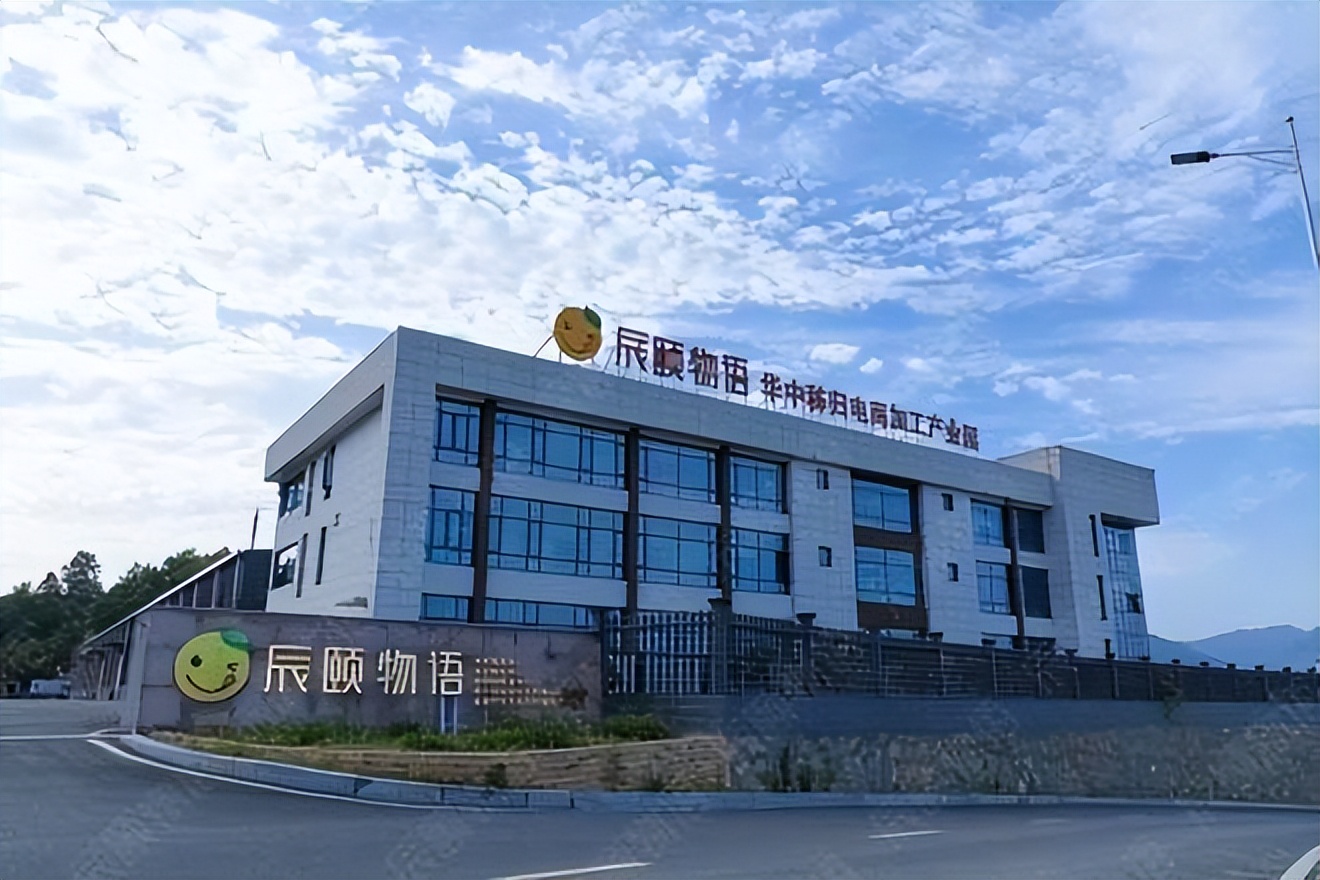 辰颐物语全面推进乡村振兴事业__财经头条
