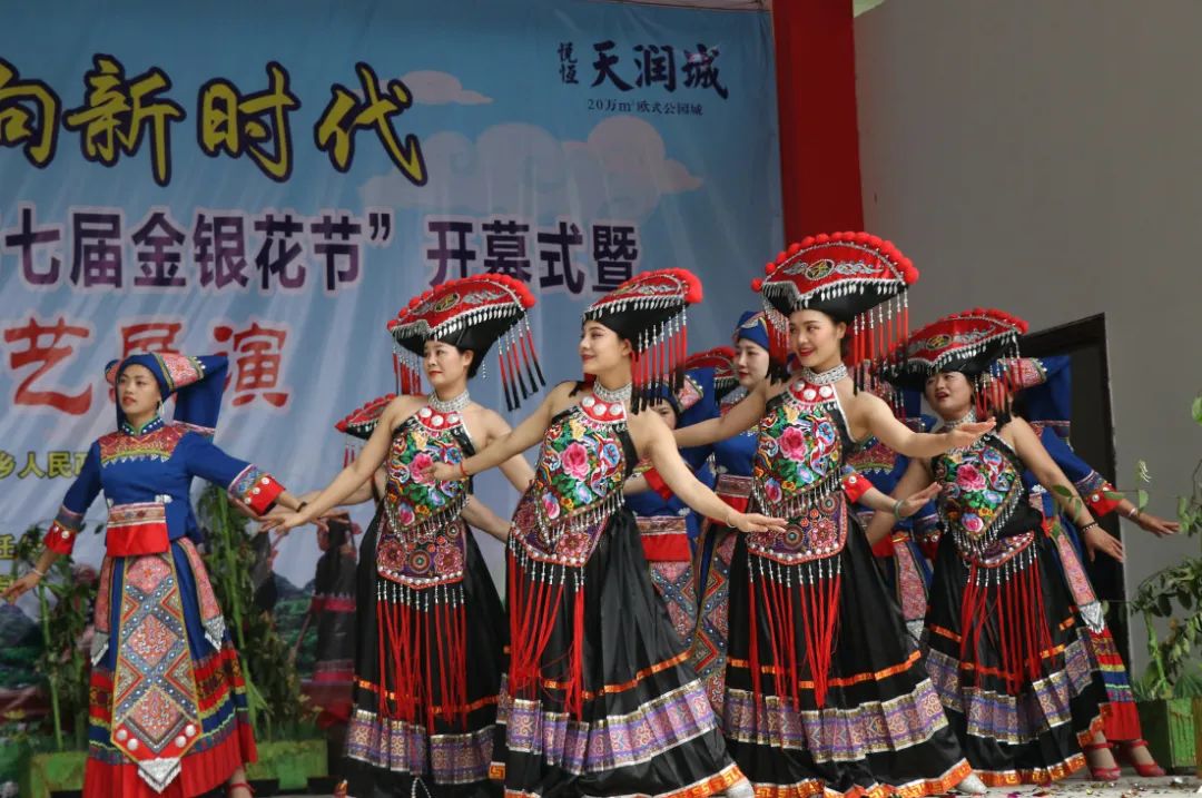 时隔三年马山县古寨瑶族乡金银花节恢复举办今年有这些亮点