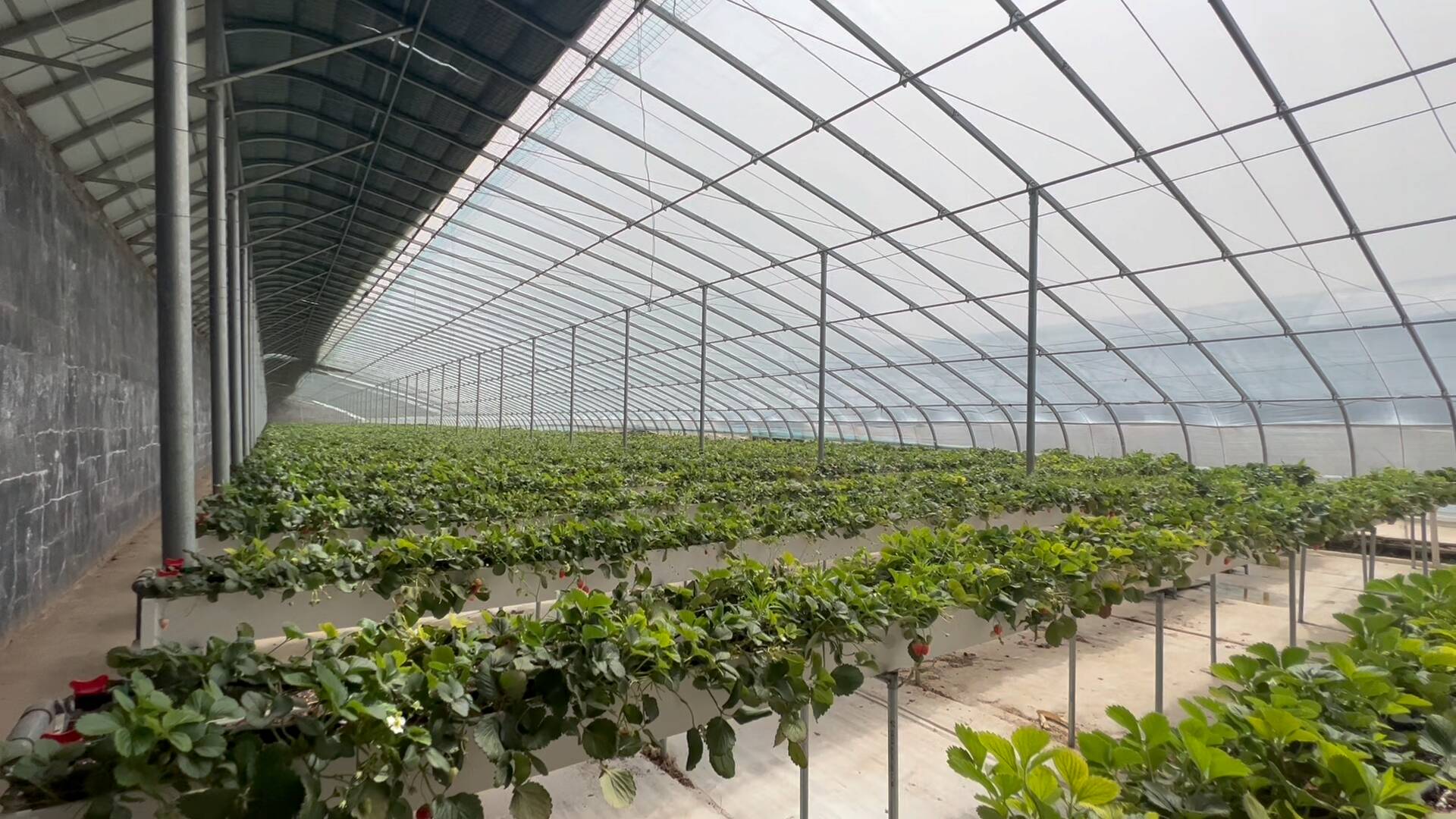 走齐长城文化体验廊道主题采访｜山东沂源有个“小九寨” “好风光”与“烟火气”在这里完美融合休闲区蓝鸢梦想 - Www.slyday.coM