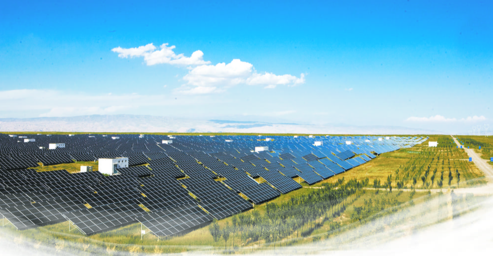 结合清洁能源产业建设,逐步构建起"光伏 生态治理 生态牧业"的产业