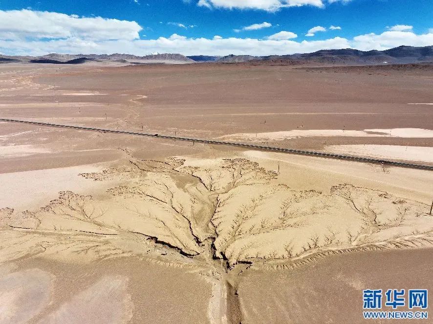 这是4月8日拍摄的位于阿里地区改则县的"大地之树"景观(无人机照片).