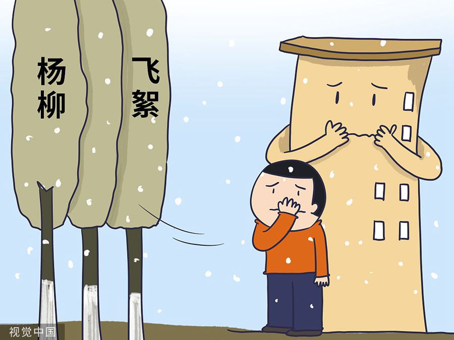 春日健康帖丨杨柳飞絮进入高发期防护别忘这几个细节