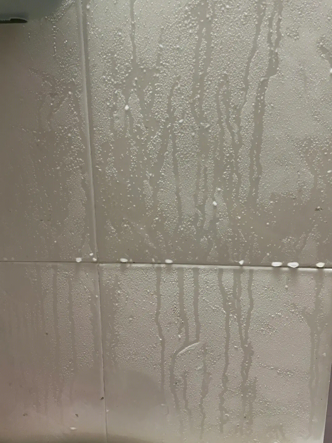 看到很多广州的网友因为潮湿的回南天羡慕北方的干燥天气……|广州市|沙尘暴_新浪新闻