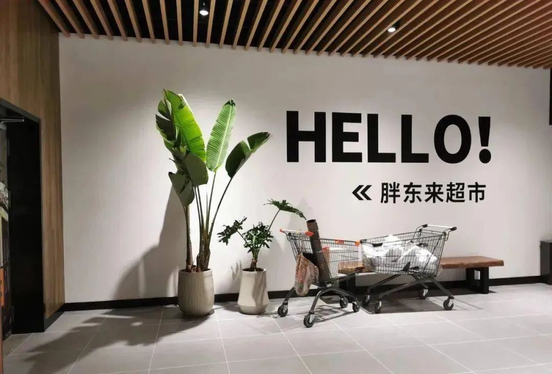 郑怡静个人资料简介