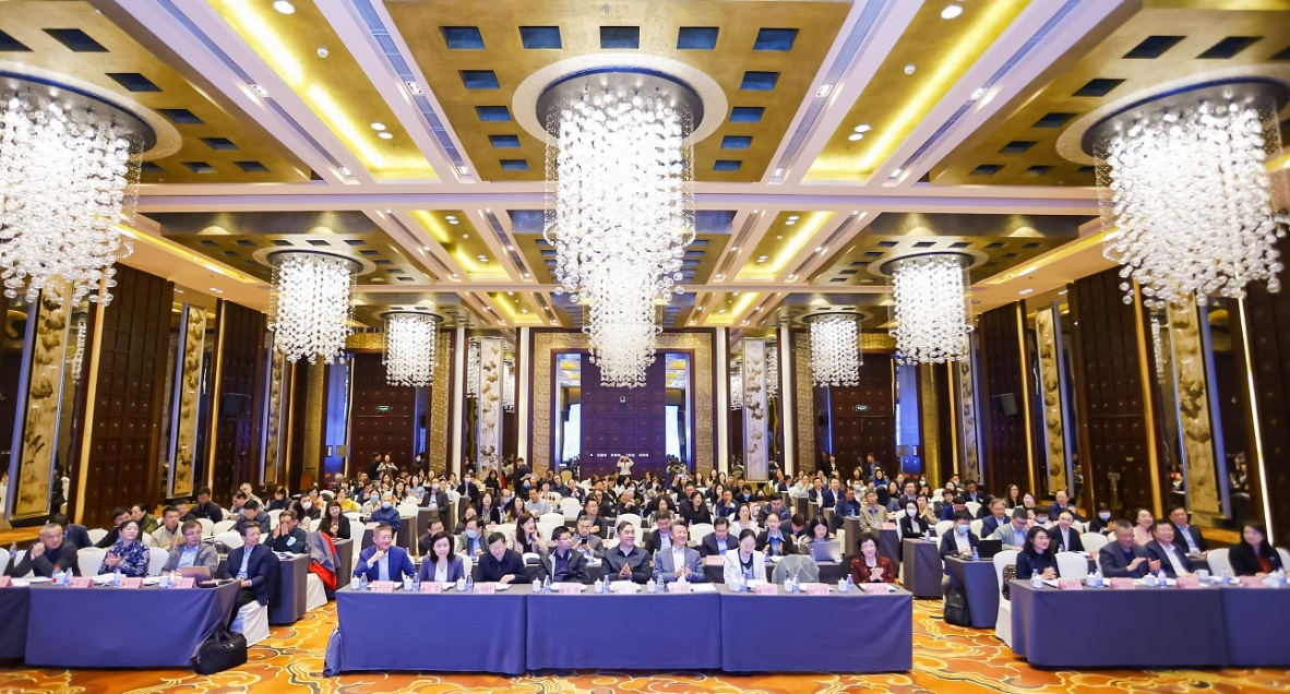 会议现场.大会主办方供图