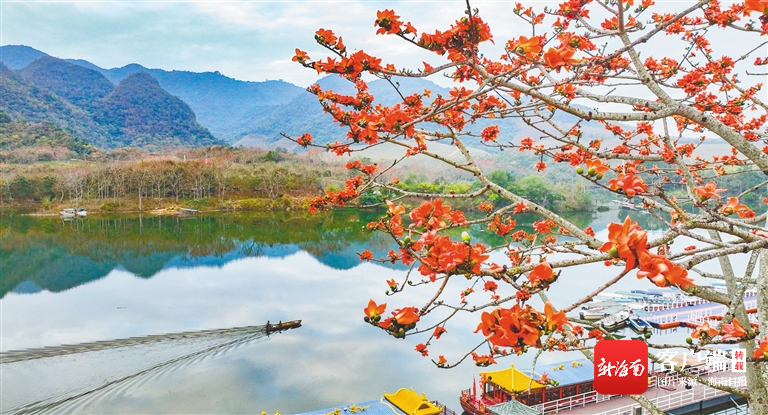 扬帆自贸港 | 昌江:科技助力山海黎乡高质量发展|自贸港|海南省_新浪