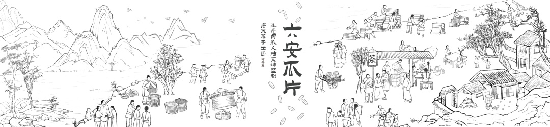 2023头采六安瓜片独特海苔兰花香口粮价喝大师茶