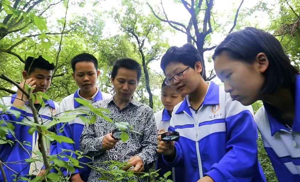攸县一中的教师在户外带学生认识植物.