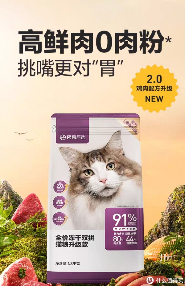 养猫要注意这4点,特别是饮食方面,推荐这款好物|猫_新浪新闻