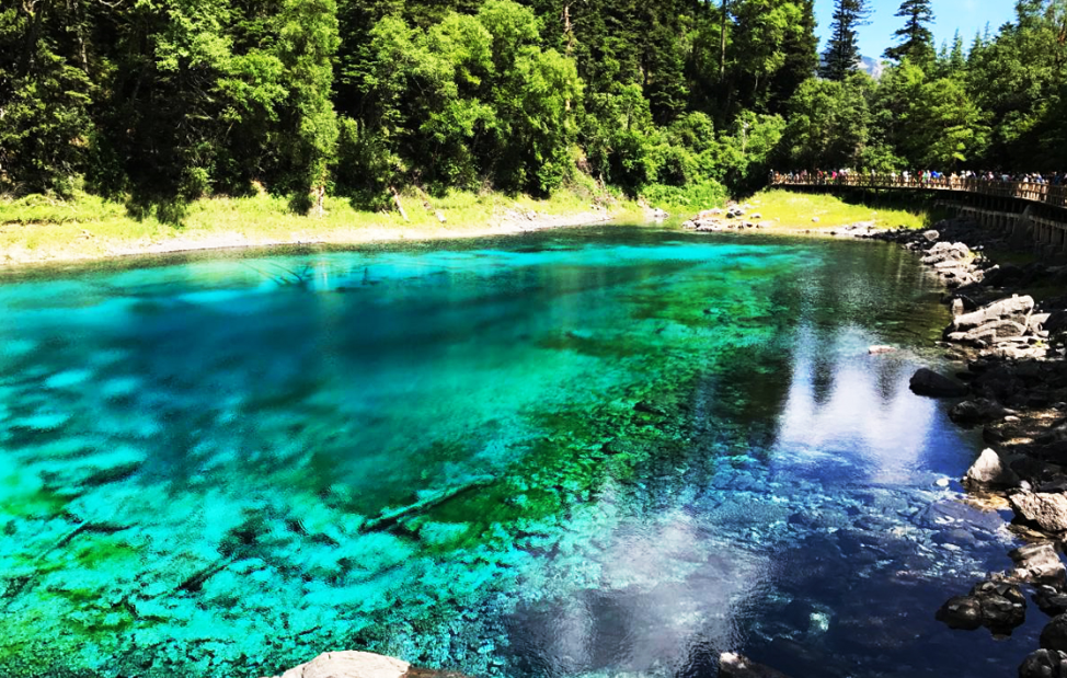 网友发布的丰水期时九寨沟五彩池照片