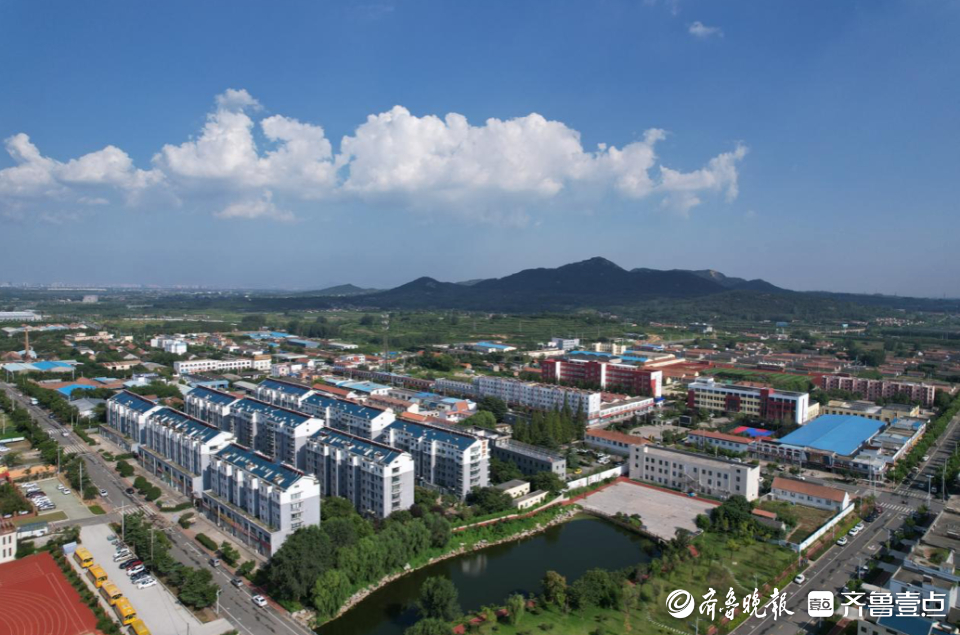 日照市东港区后村镇:用品质绘就城镇管理的"最美底色"|后村镇|城镇