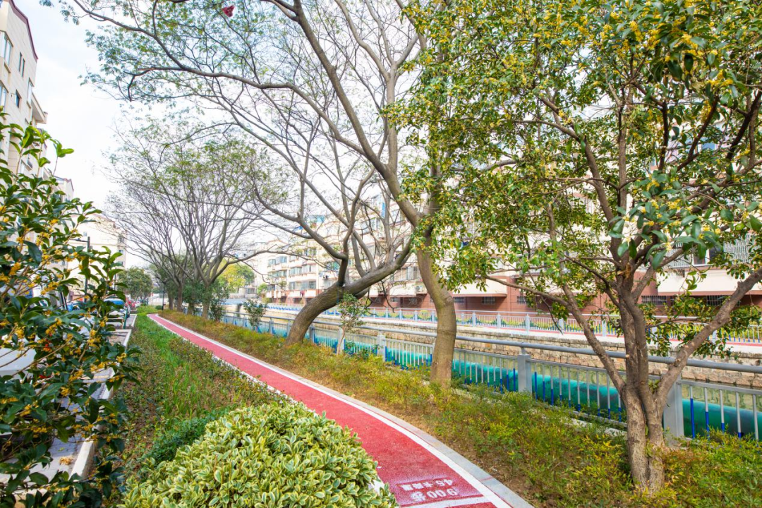 小区道路改造后