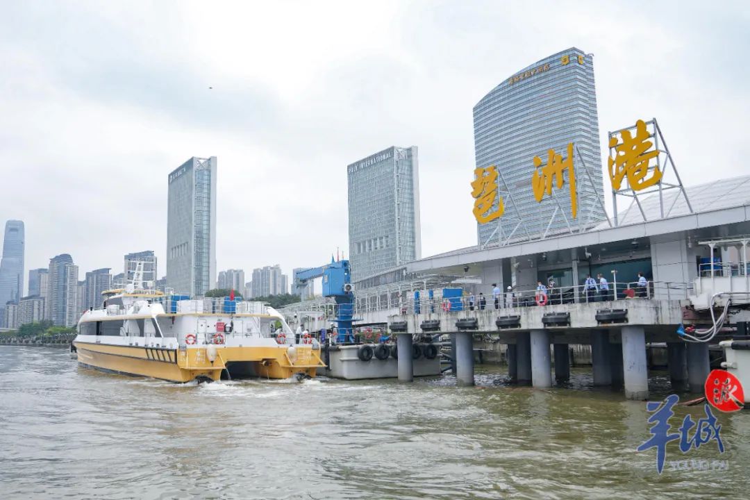 客船缓缓靠泊琶洲港澳客运口岸码头