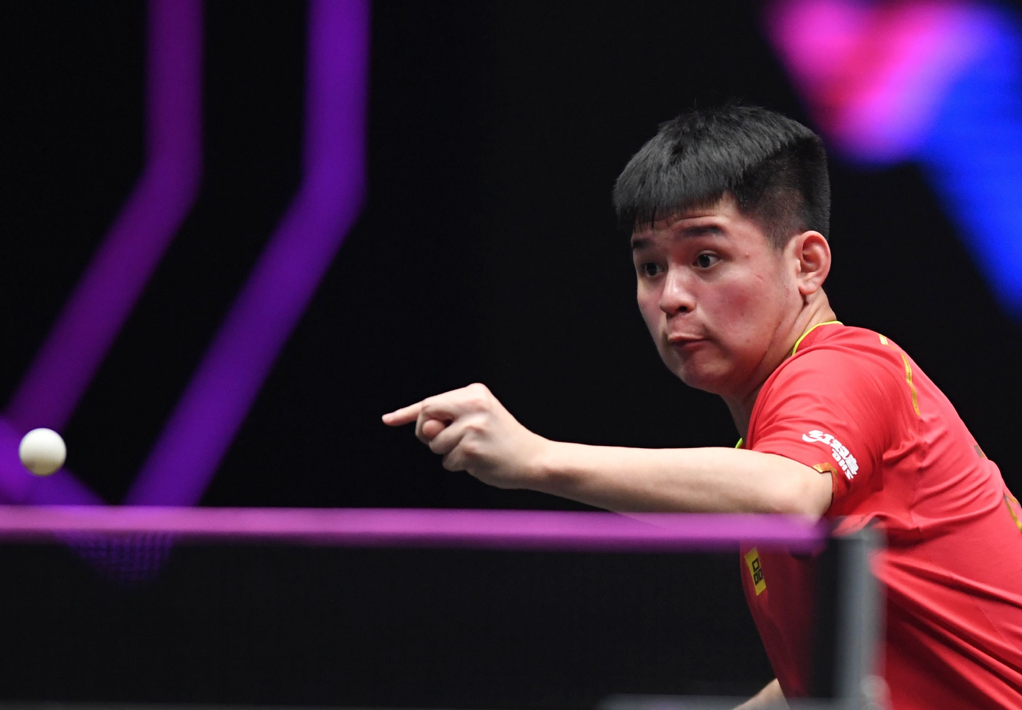 樊振东战胜林诗栋夺金 新浪网