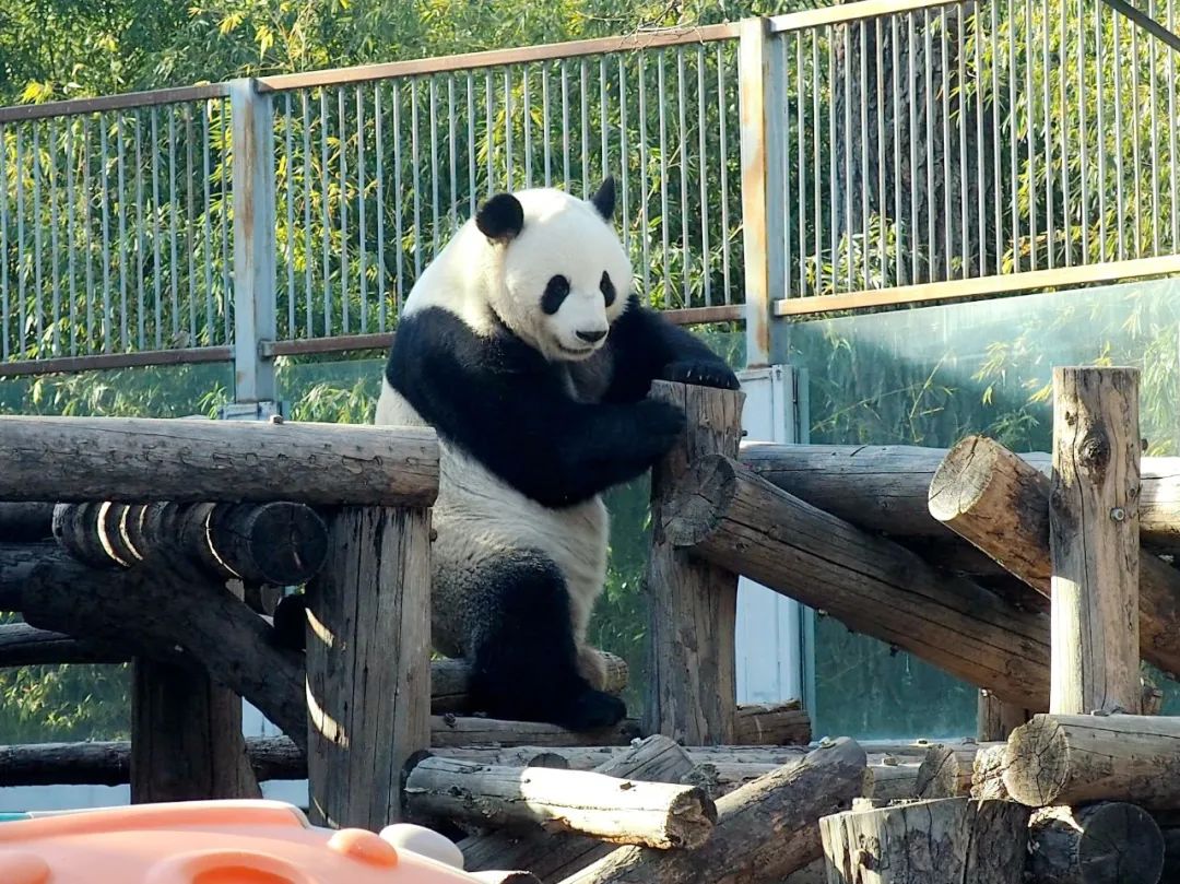 在下北京"西直门三太子",请多指教~_新浪财经_新浪网