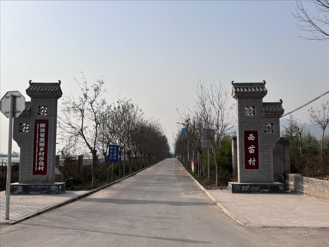 泾阳县西苗村门口立起的村标(总台中国之声记者管昕/摄)