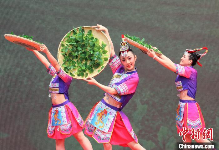 畲族舞蹈《畲乡茶韵》. 林榕生 摄"节目很多,而且还很精彩.