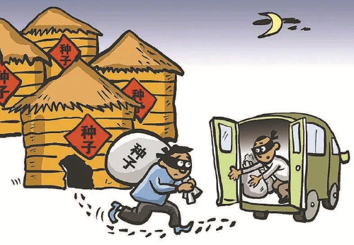 第八个全民国家安全教育日系列报道之粮食安全