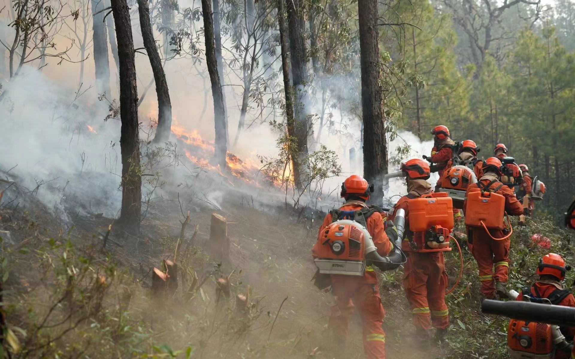 图源丽江市森林消防支队