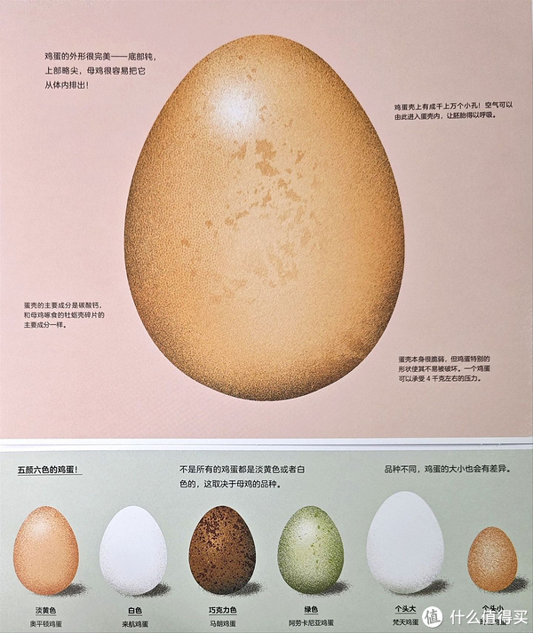 我的世界嗅探兽蛋怎么孵化 嗅探兽如何驯服技巧分享